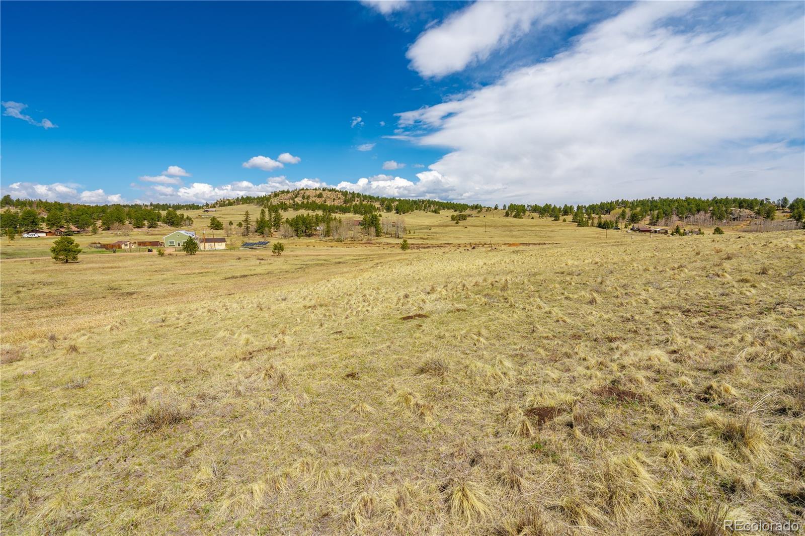 1265 County Road 403 Florissant CO 80816