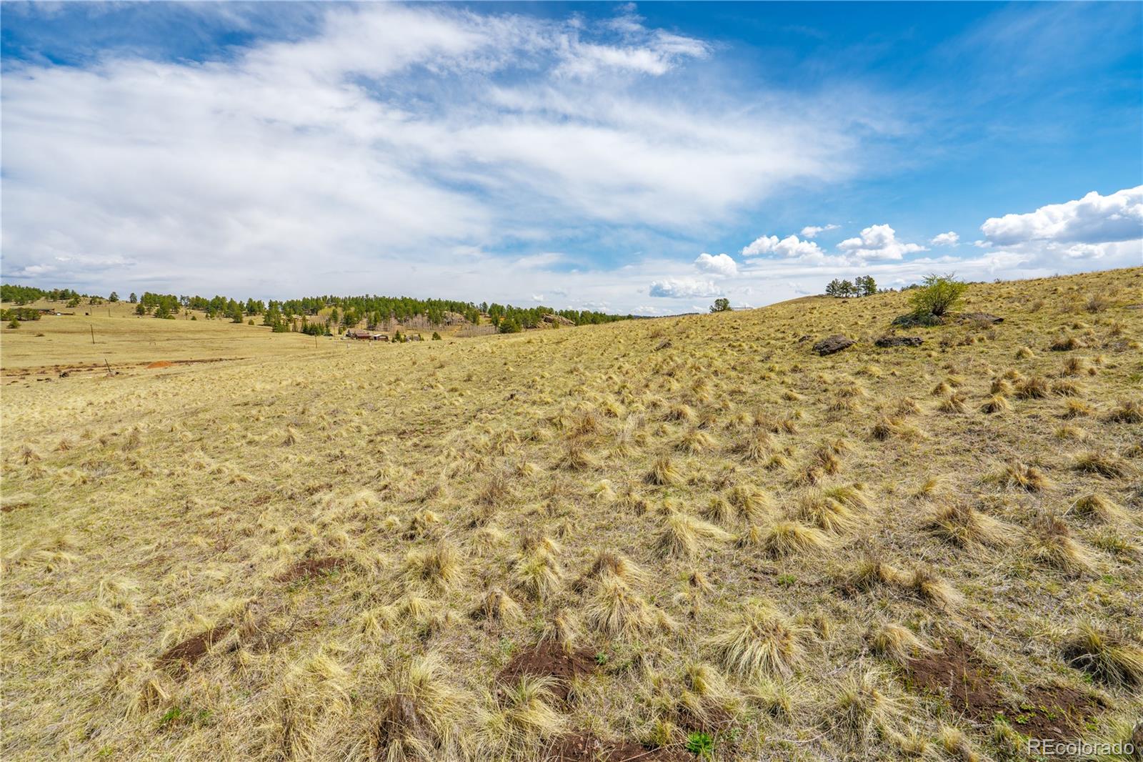1265 County Road 403 Florissant CO 80816