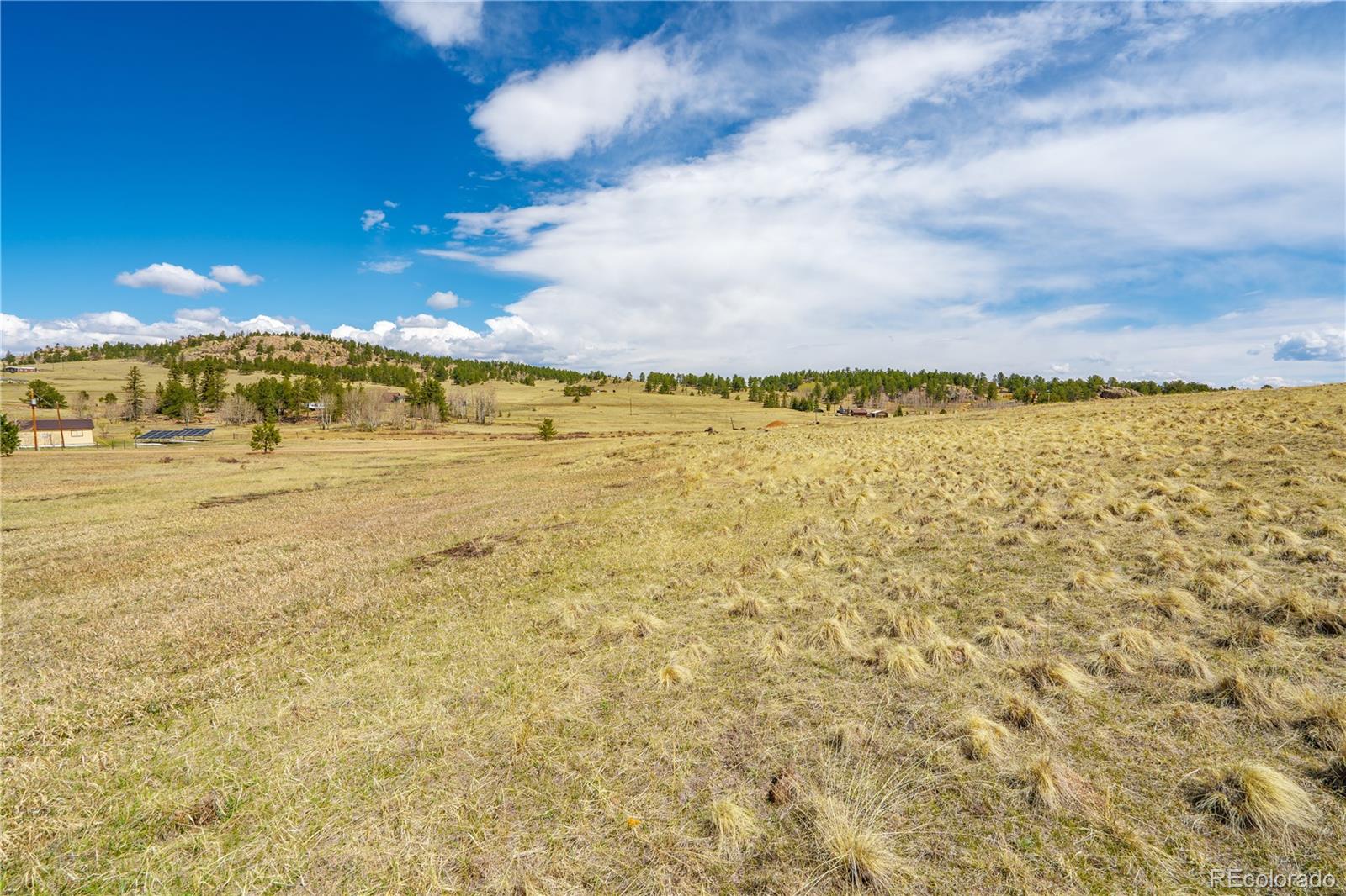 1265 County Road 403 Florissant CO 80816