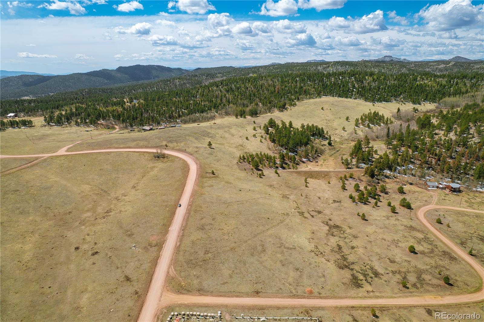 1265 County Road 403 Florissant CO 80816