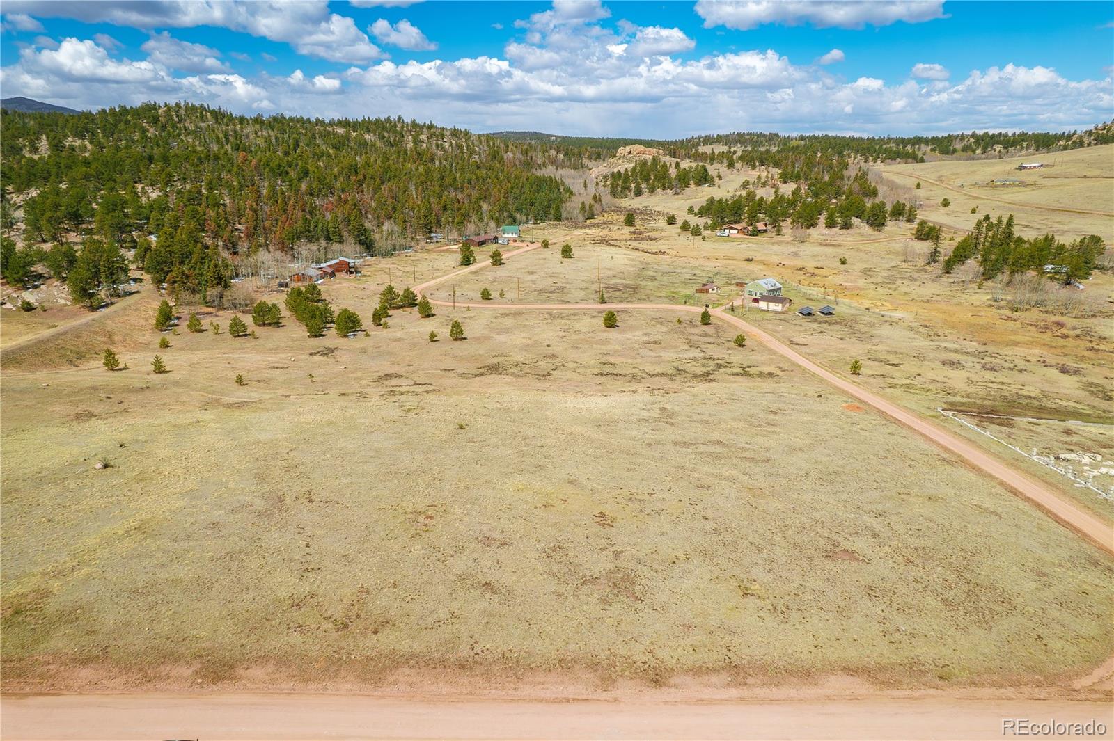 1265 County Road 403 Florissant CO 80816