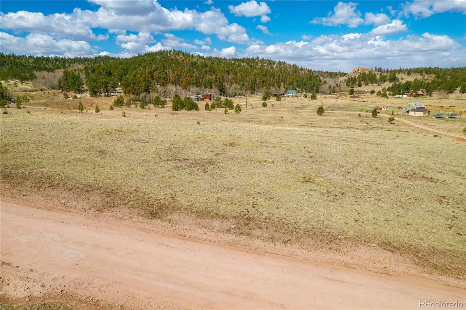1265 County Road 403 Florissant CO 80816