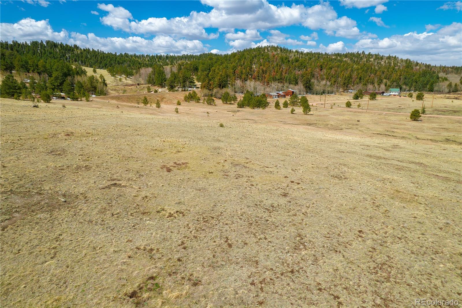 1265 County Road 403 Florissant CO 80816