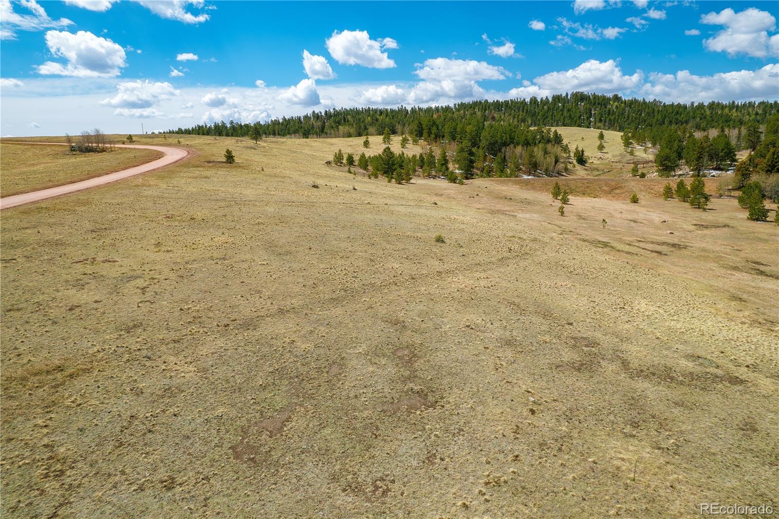 1265 County Road 403 Florissant CO 80816