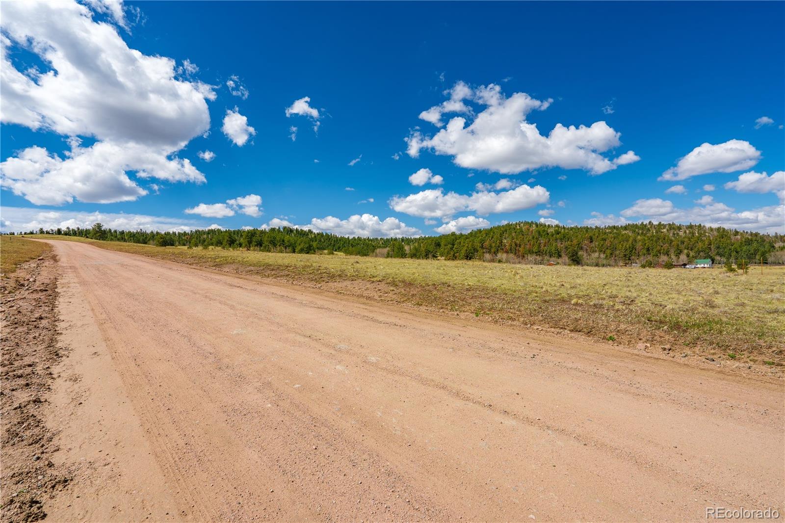 1265 County Road 403 Florissant CO 80816