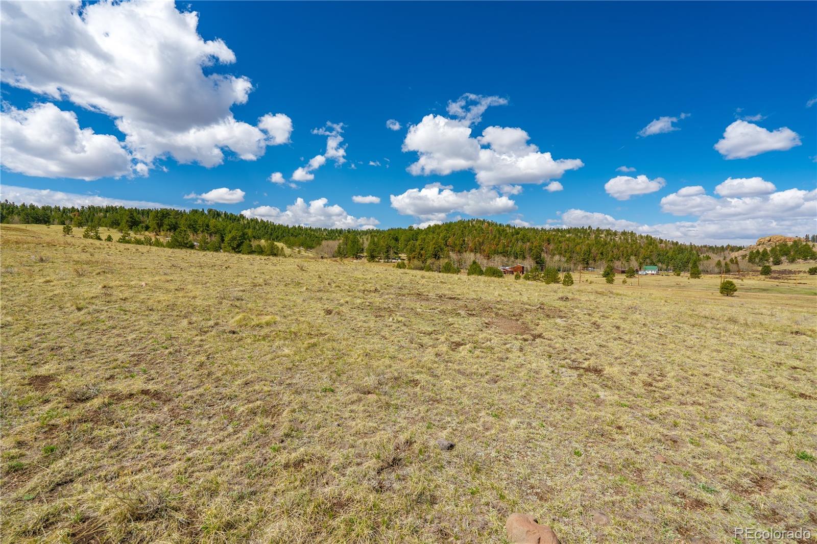 1265 County Road 403 Florissant CO 80816