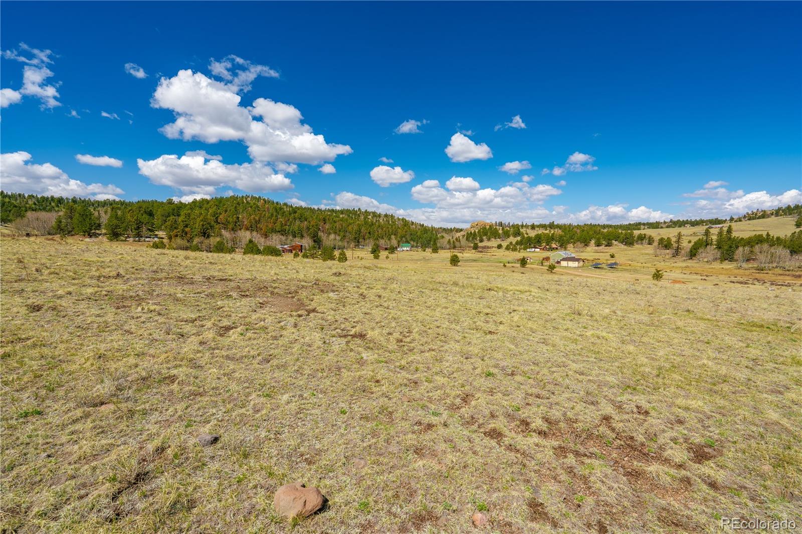 1265 County Road 403 Florissant CO 80816