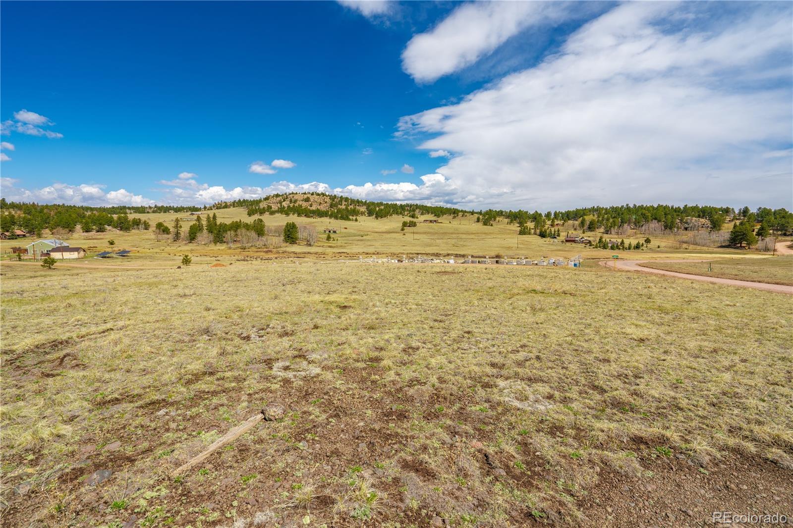 1265 County Road 403 Florissant CO 80816