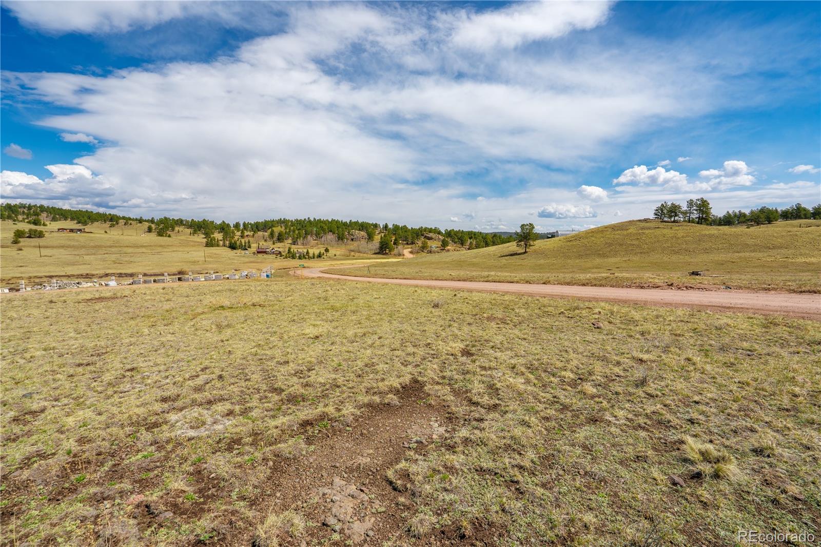 1265 County Road 403 Florissant CO 80816