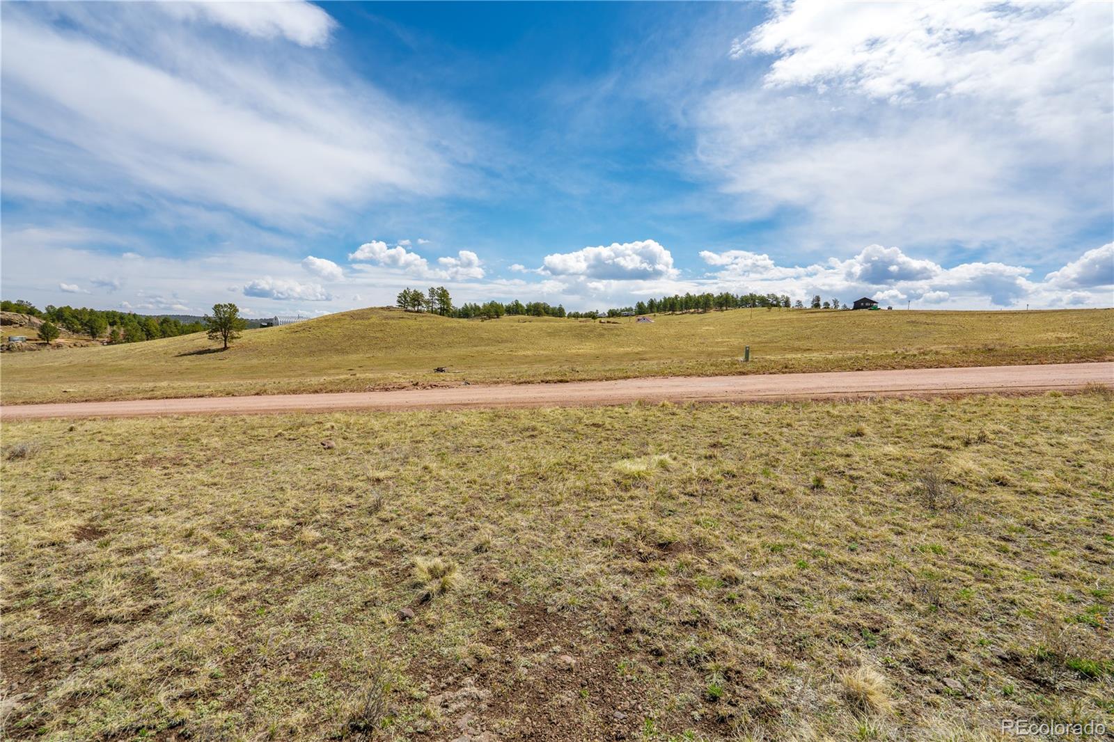1265 County Road 403 Florissant CO 80816