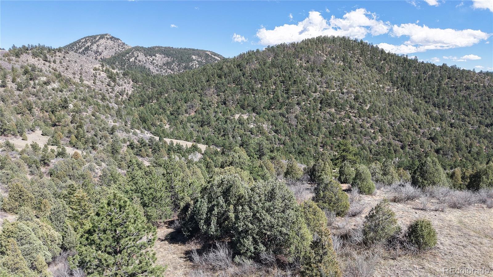 2050 Coyote Spur Golden CO 80403