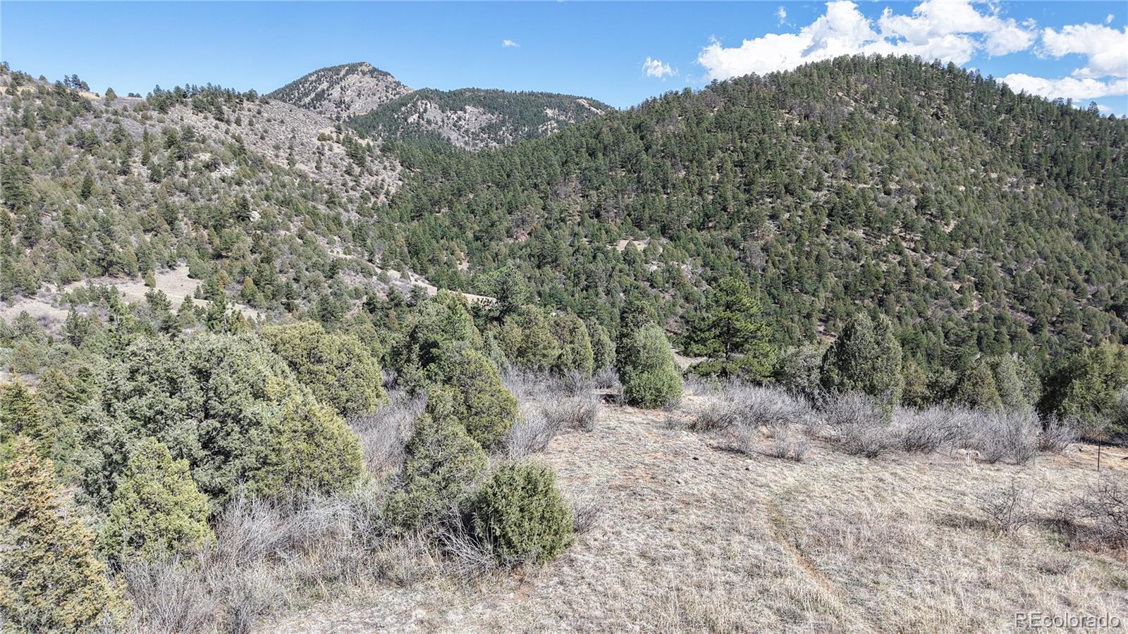 2050 Coyote Spur Golden CO 80403