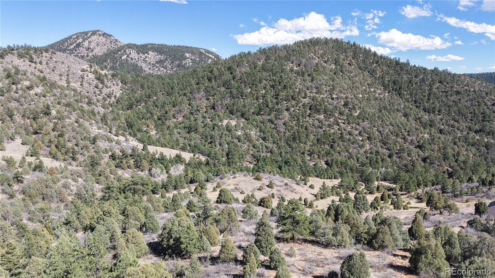 2050 Coyote Spur Golden CO 80403
