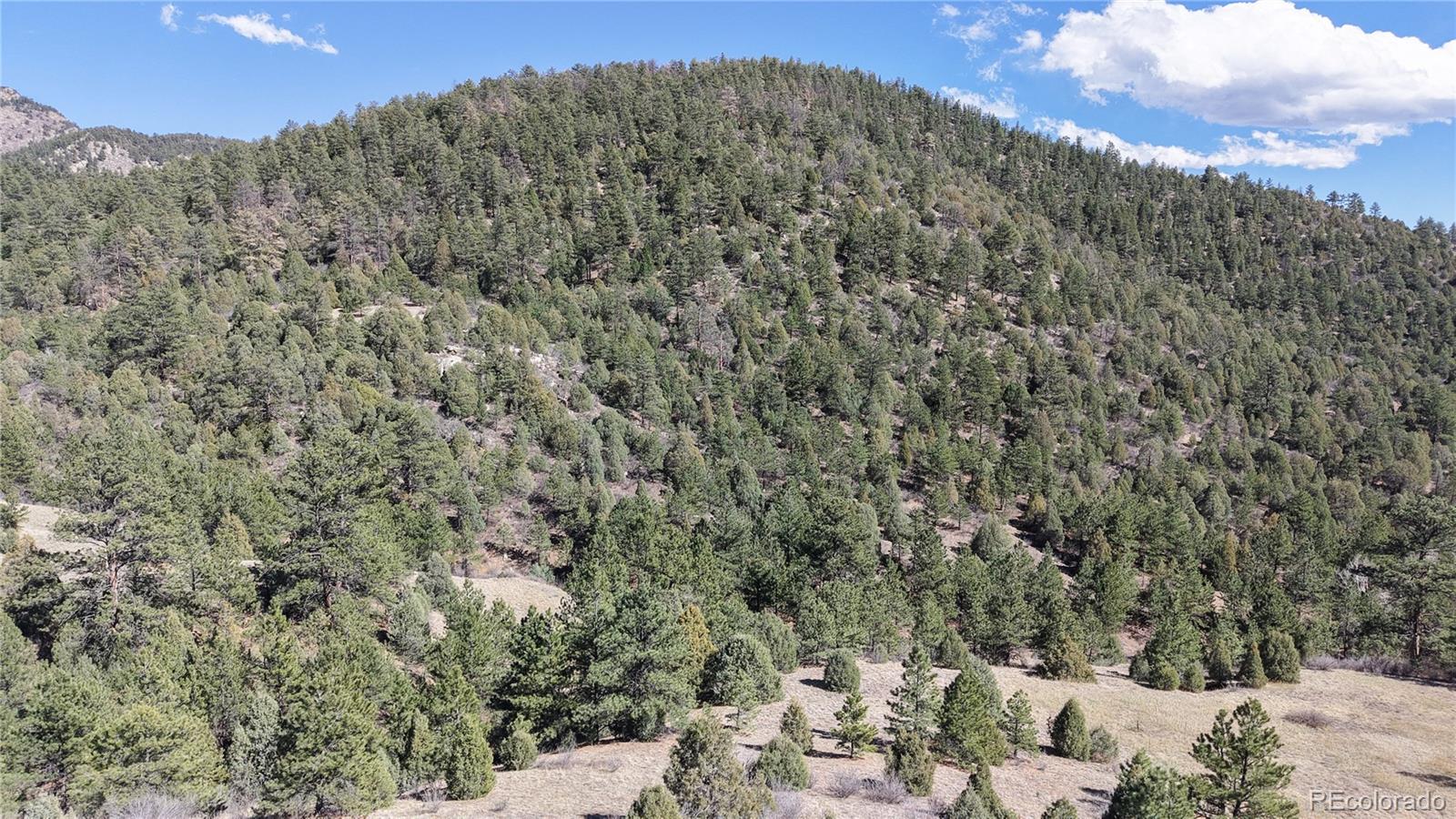 2050 Coyote Spur Golden CO 80403