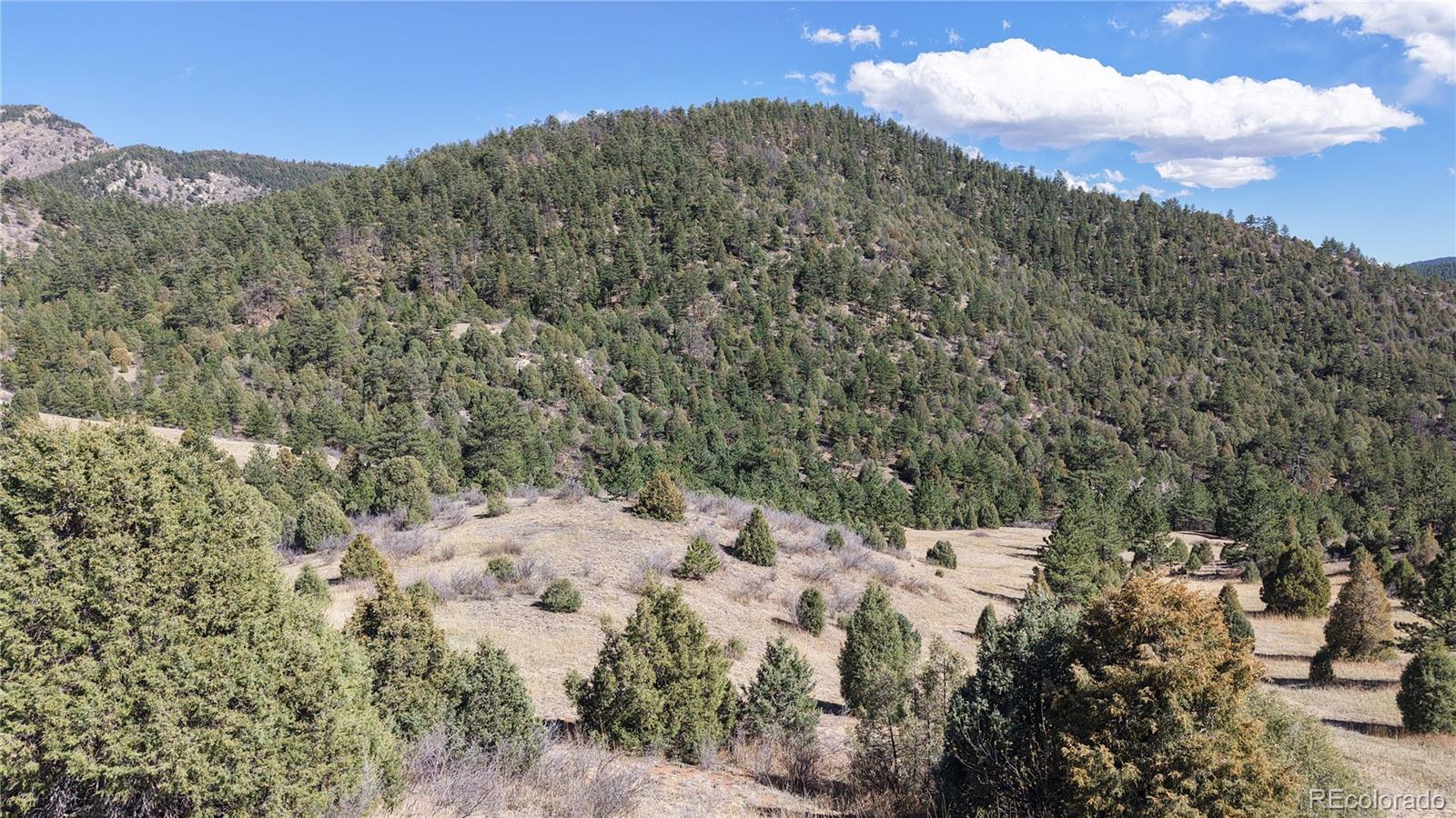 2050 Coyote Spur Golden CO 80403