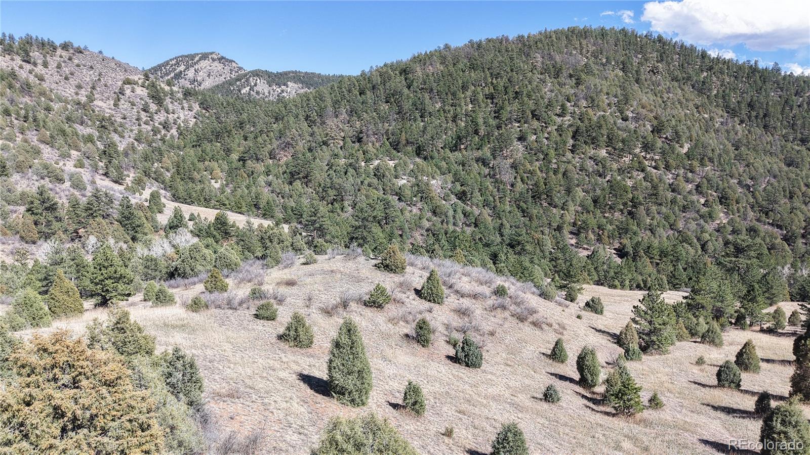 2050 Coyote Spur Golden CO 80403