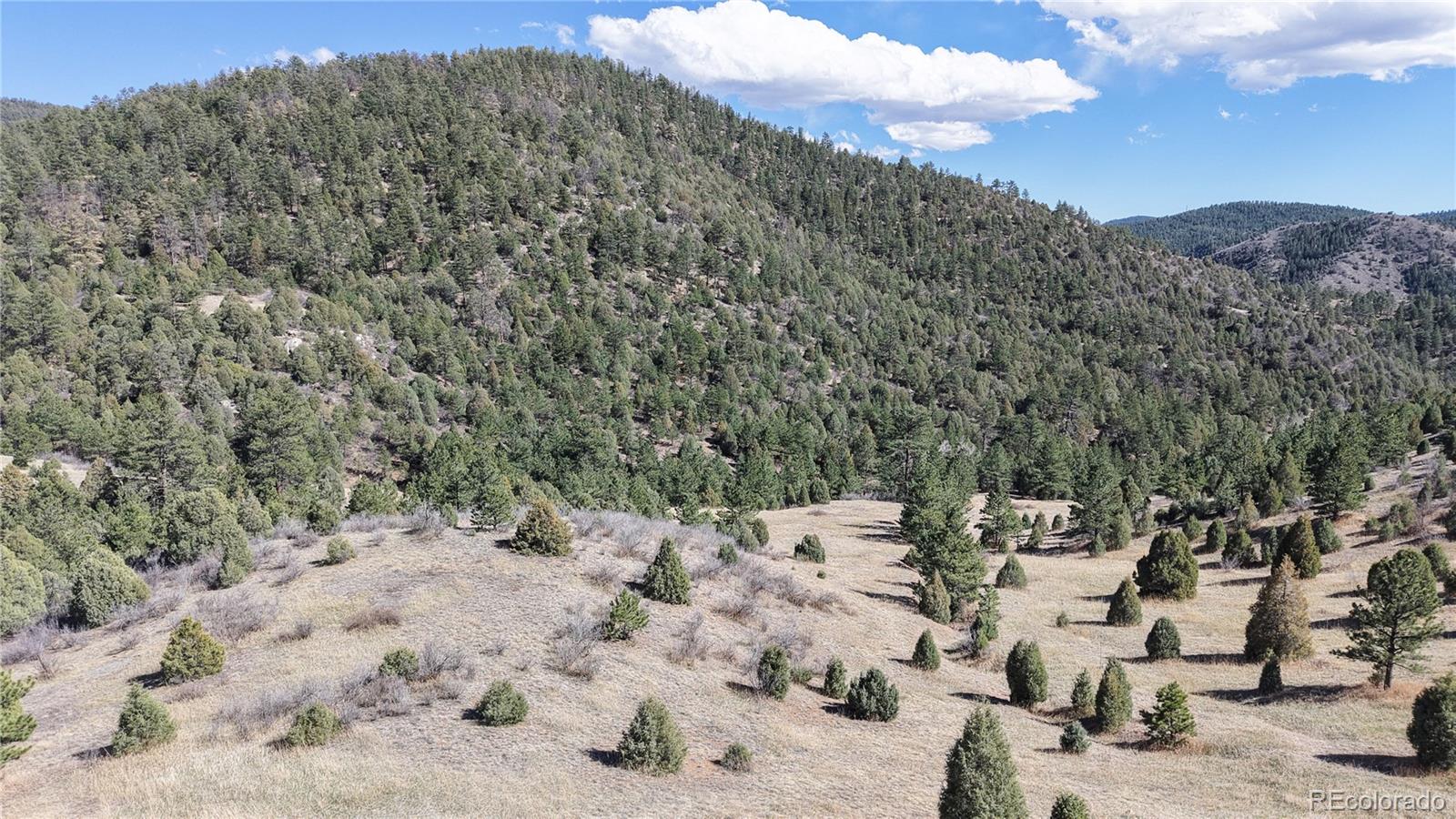 2050 Coyote Spur Golden CO 80403