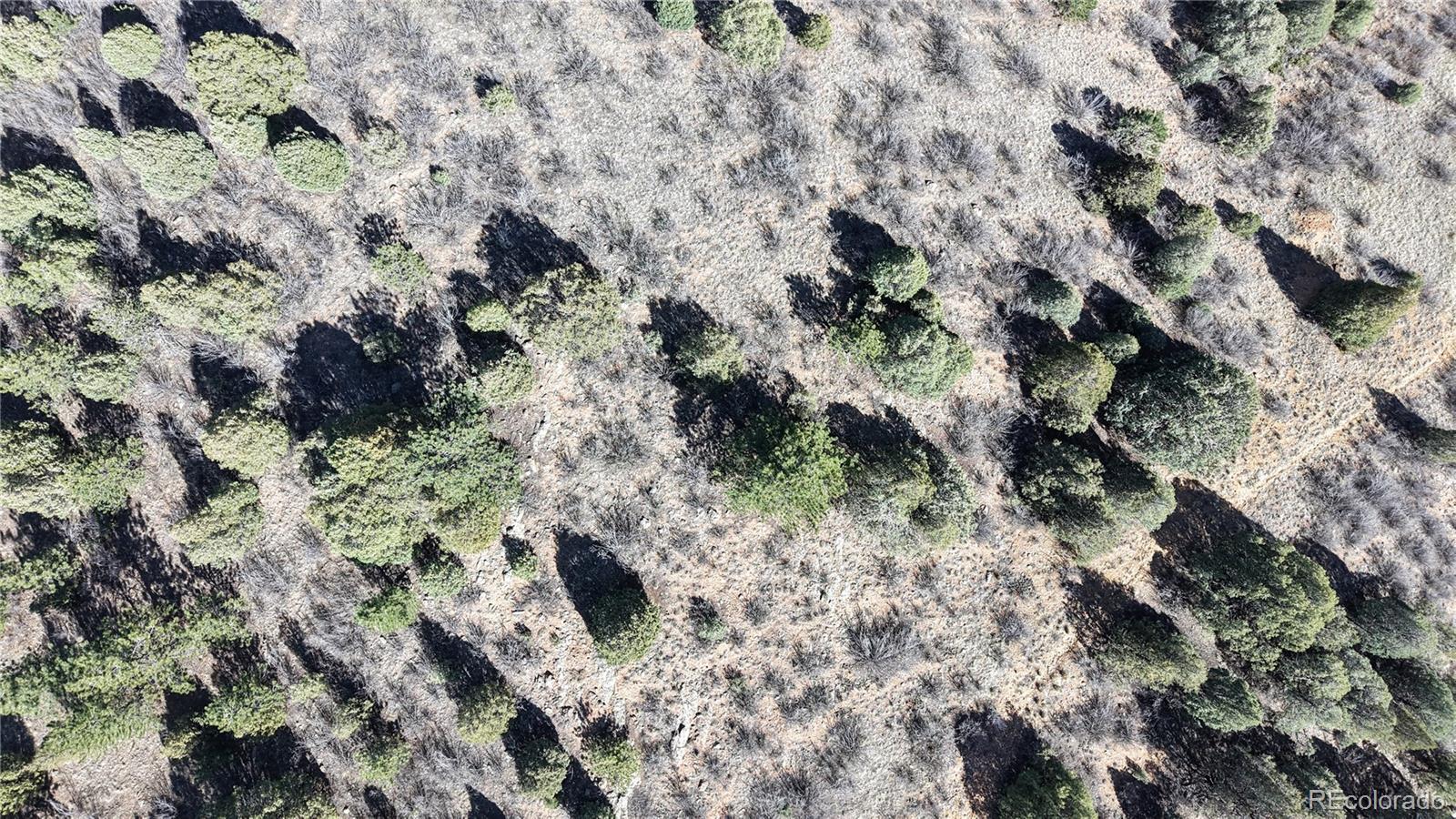 2050 Coyote Spur Golden CO 80403