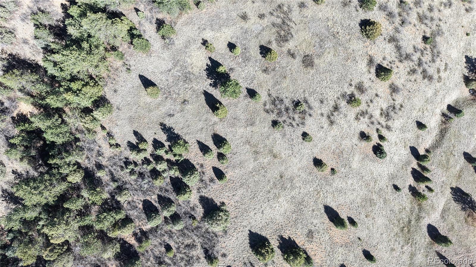 2050 Coyote Spur Golden CO 80403
