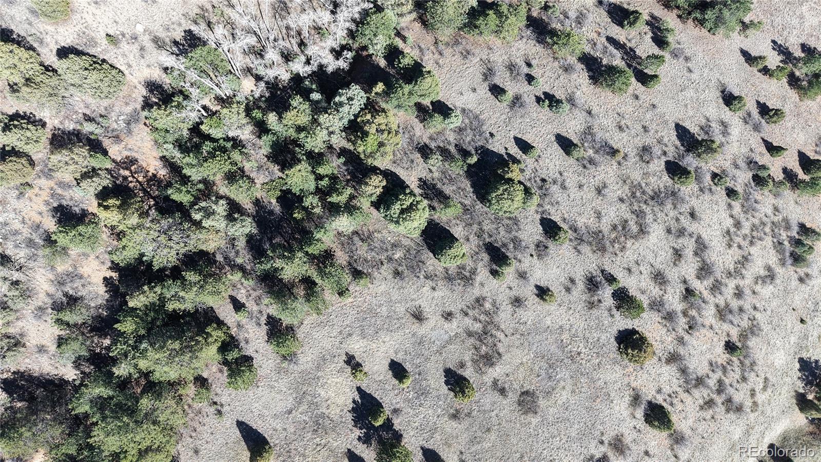 2050 Coyote Spur Golden CO 80403
