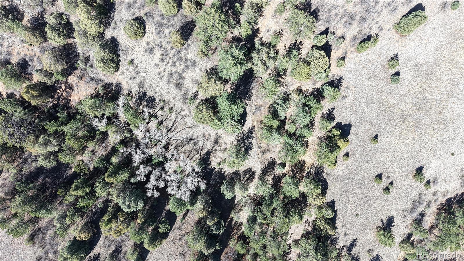 2050 Coyote Spur Golden CO 80403