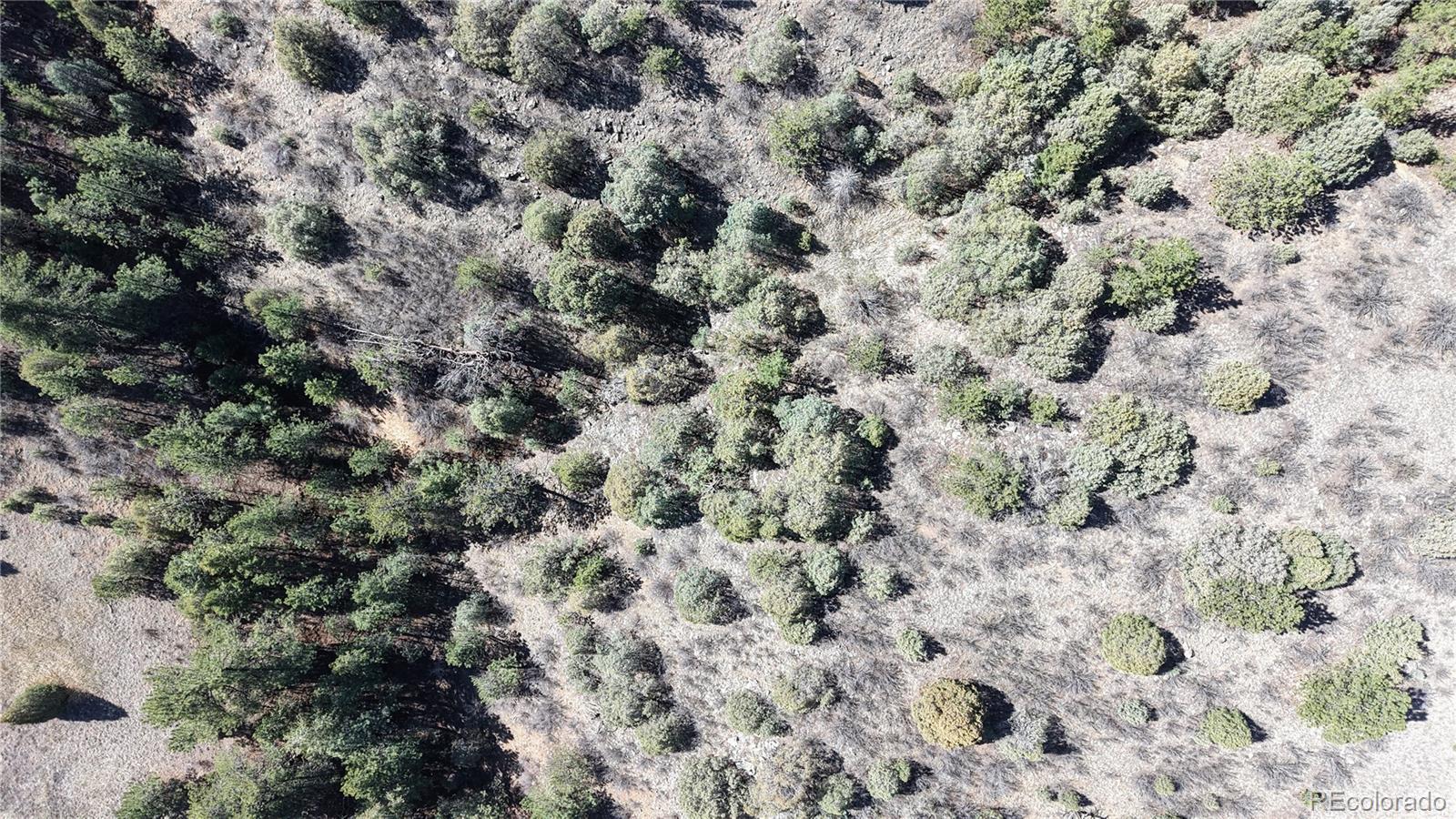 2050 Coyote Spur Golden CO 80403