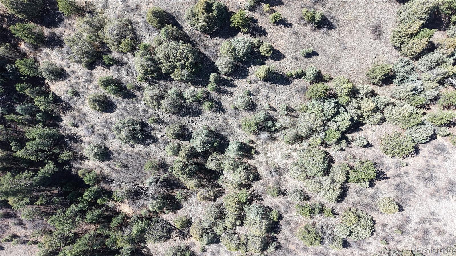 2050 Coyote Spur Golden CO 80403