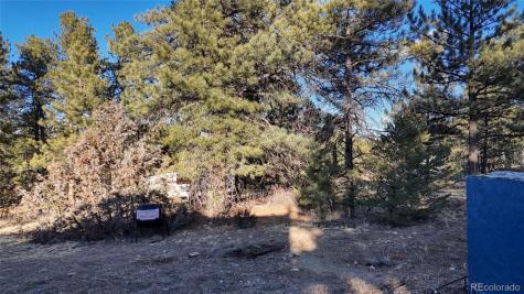 1446 13th Trail Cotopaxi CO 81223