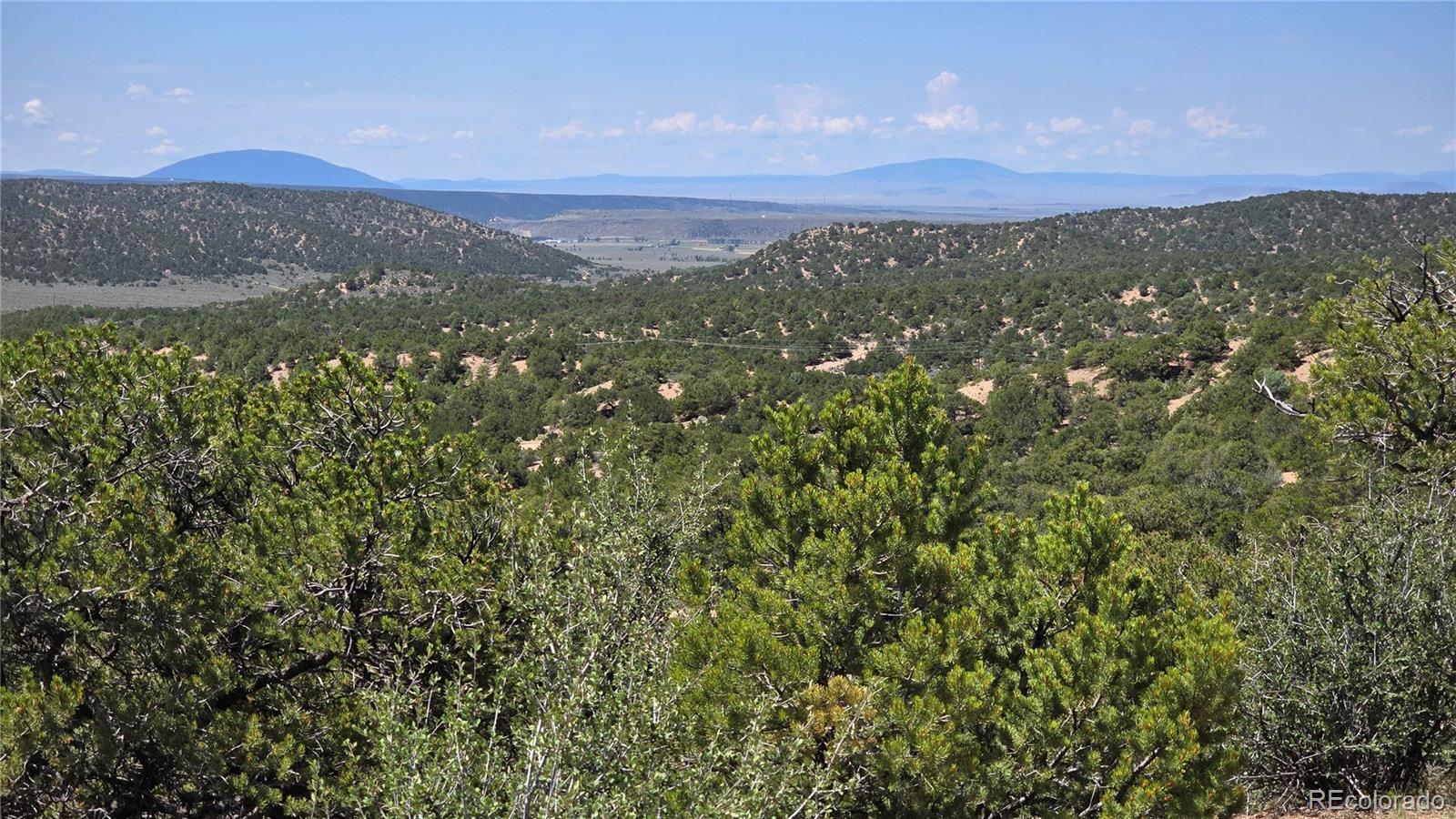 Lot 1615 Dunn Road San Luis CO 81152