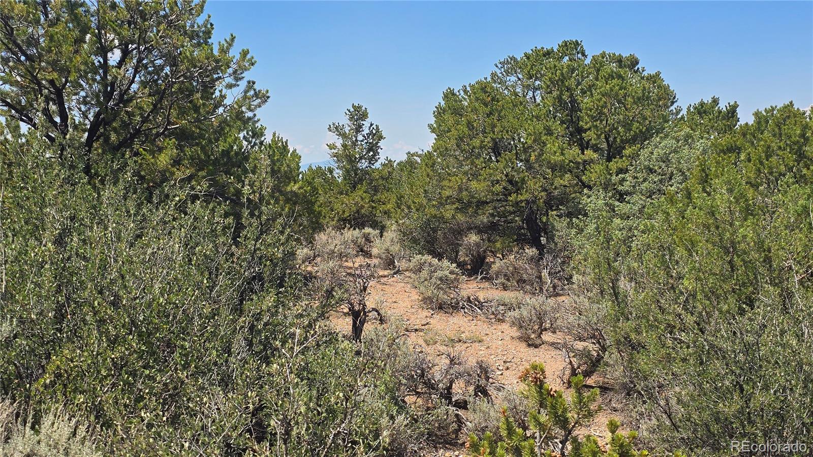 Lot 1615 Dunn Road San Luis CO 81152