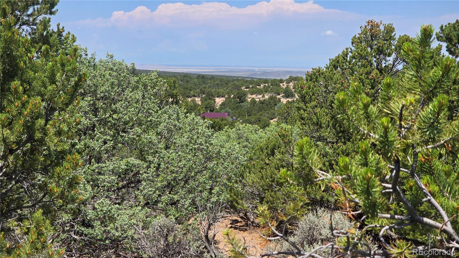 Lot 1615 Dunn Road San Luis CO 81152
