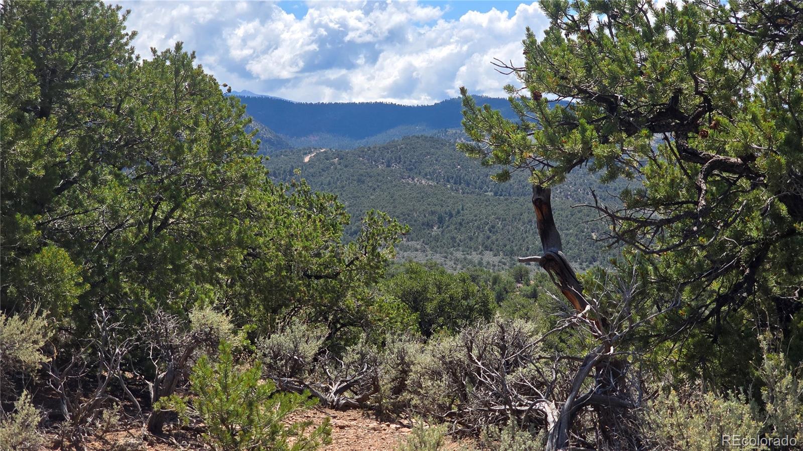 Lot 1615 Dunn Road San Luis CO 81152
