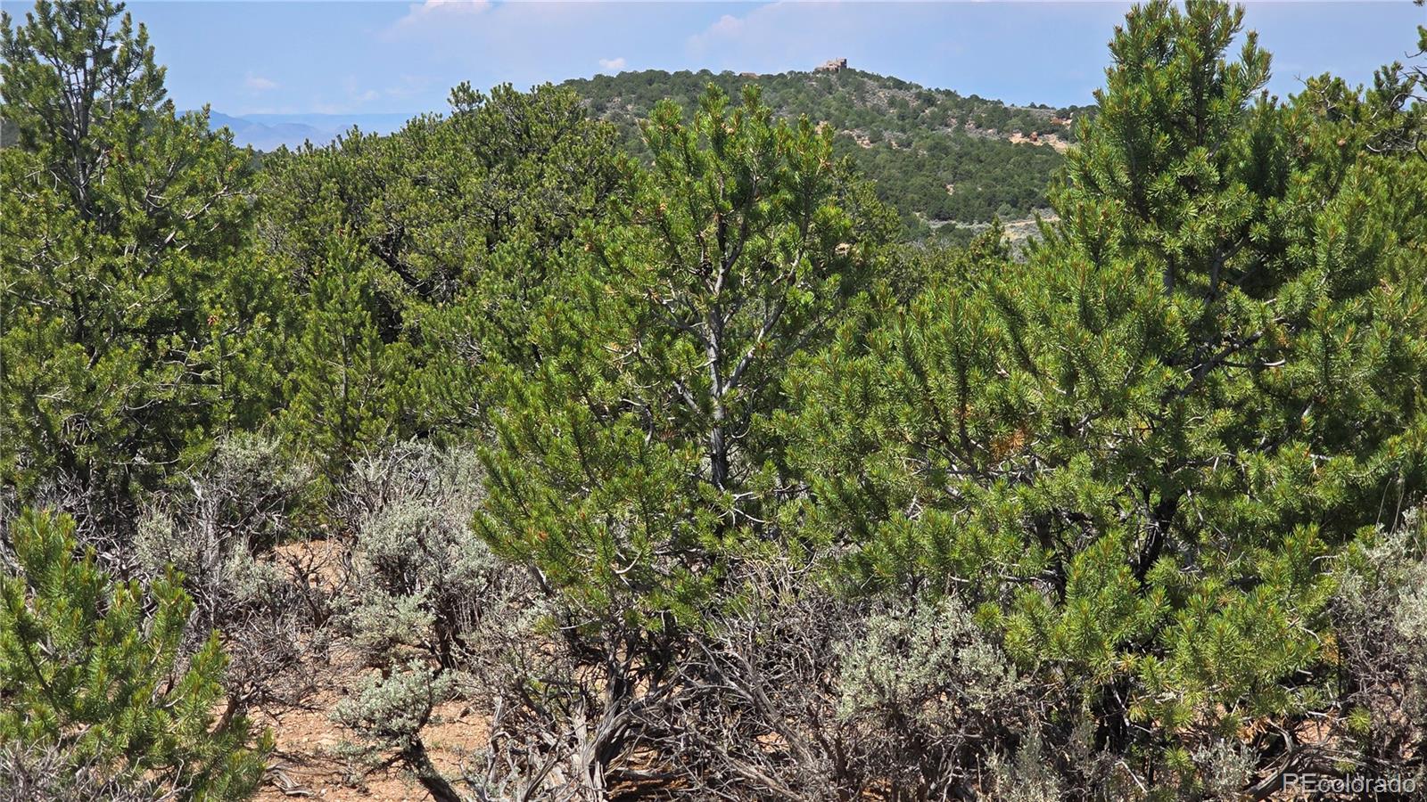 Lot 1615 Dunn Road San Luis CO 81152