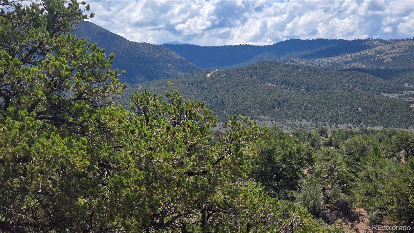 Lot 1615 Dunn Road San Luis CO 81152
