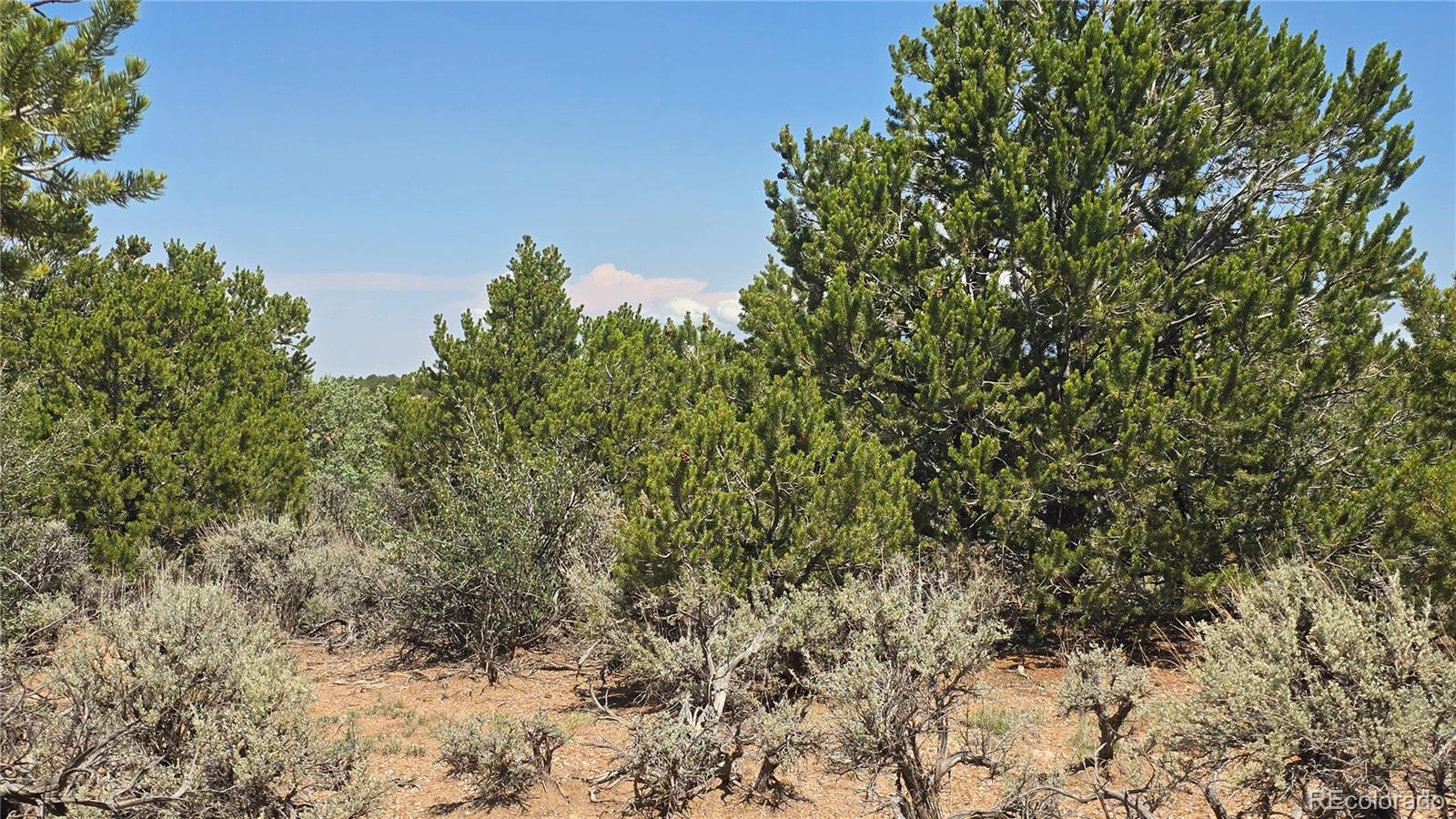 Lot 1615 Dunn Road San Luis CO 81152