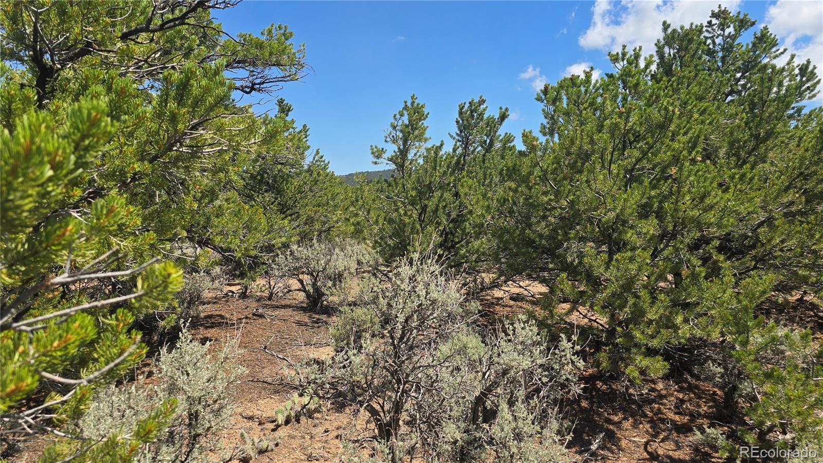 Lot 1615 Dunn Road San Luis CO 81152