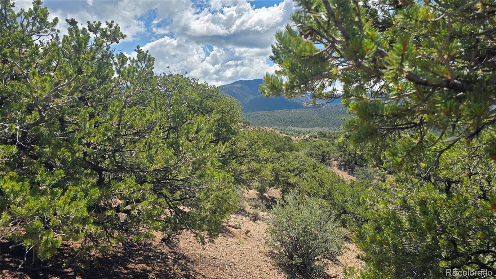 Lot 1615 Dunn Road San Luis CO 81152