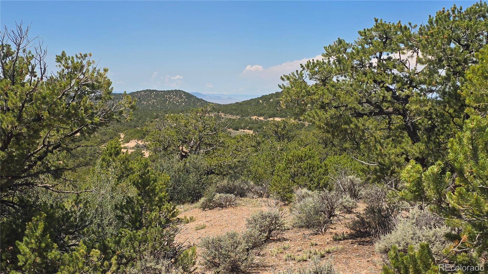 Lot 1615 Dunn Road San Luis CO 81152