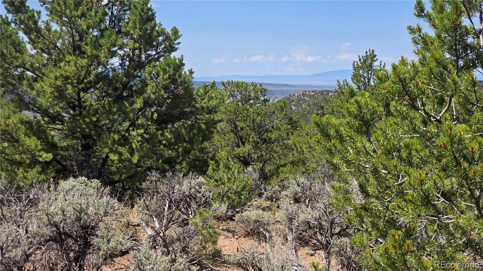 Lot 1615 Dunn Road San Luis CO 81152