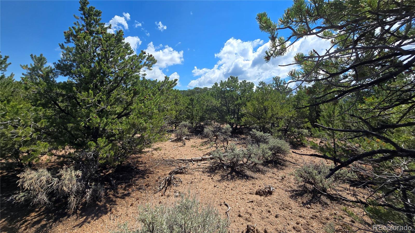 Lot 1615 Dunn Road San Luis CO 81152
