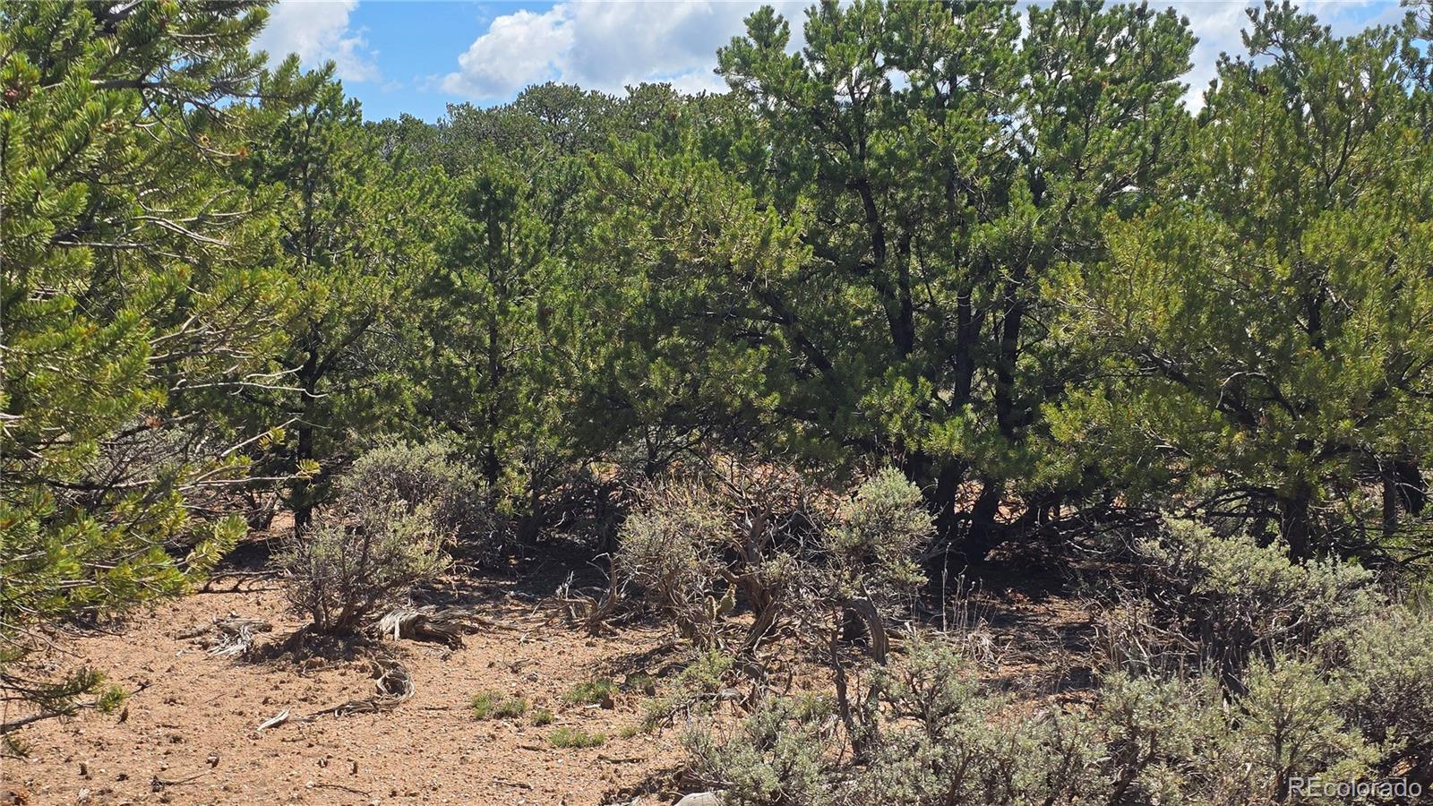 Lot 1615 Dunn Road San Luis CO 81152