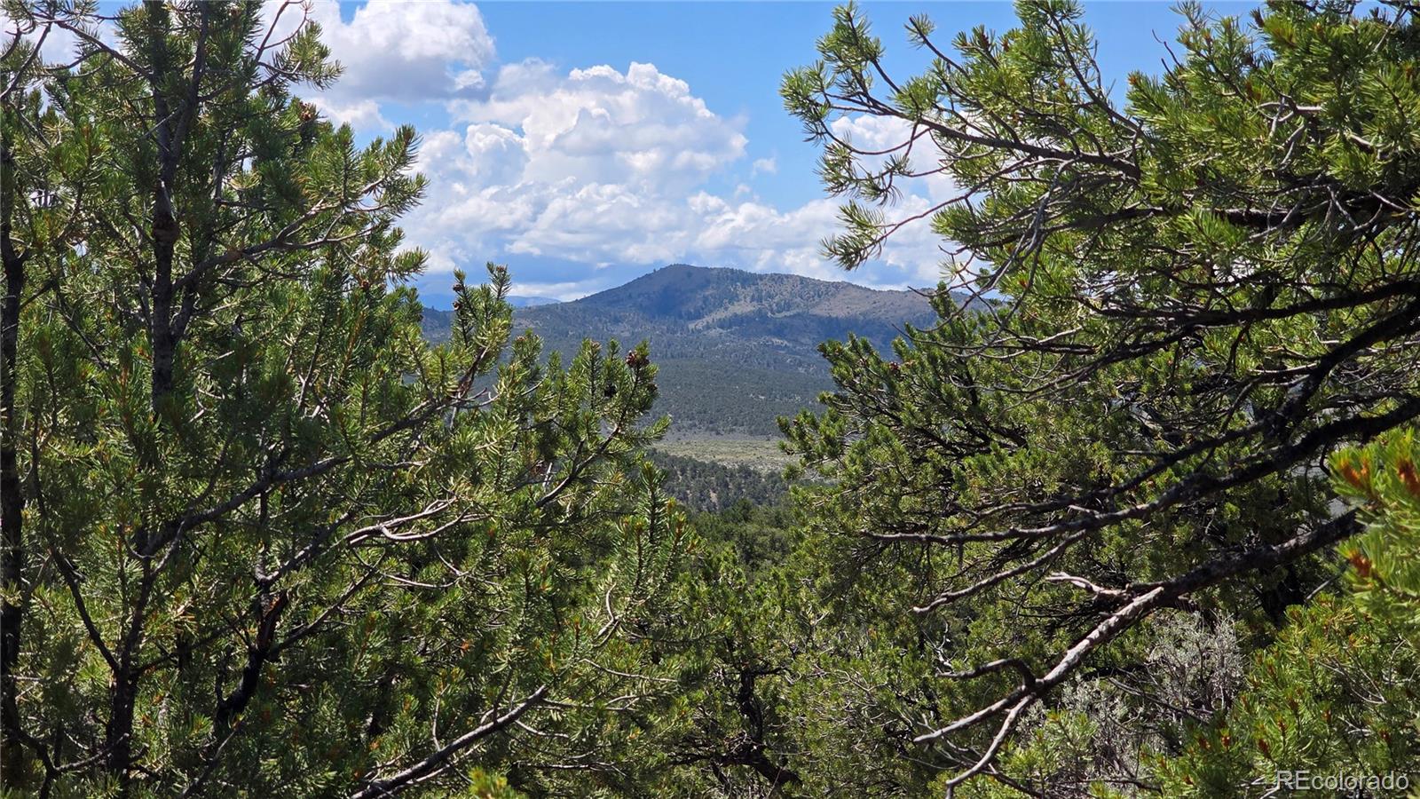 Lot 1615 Dunn Road San Luis CO 81152