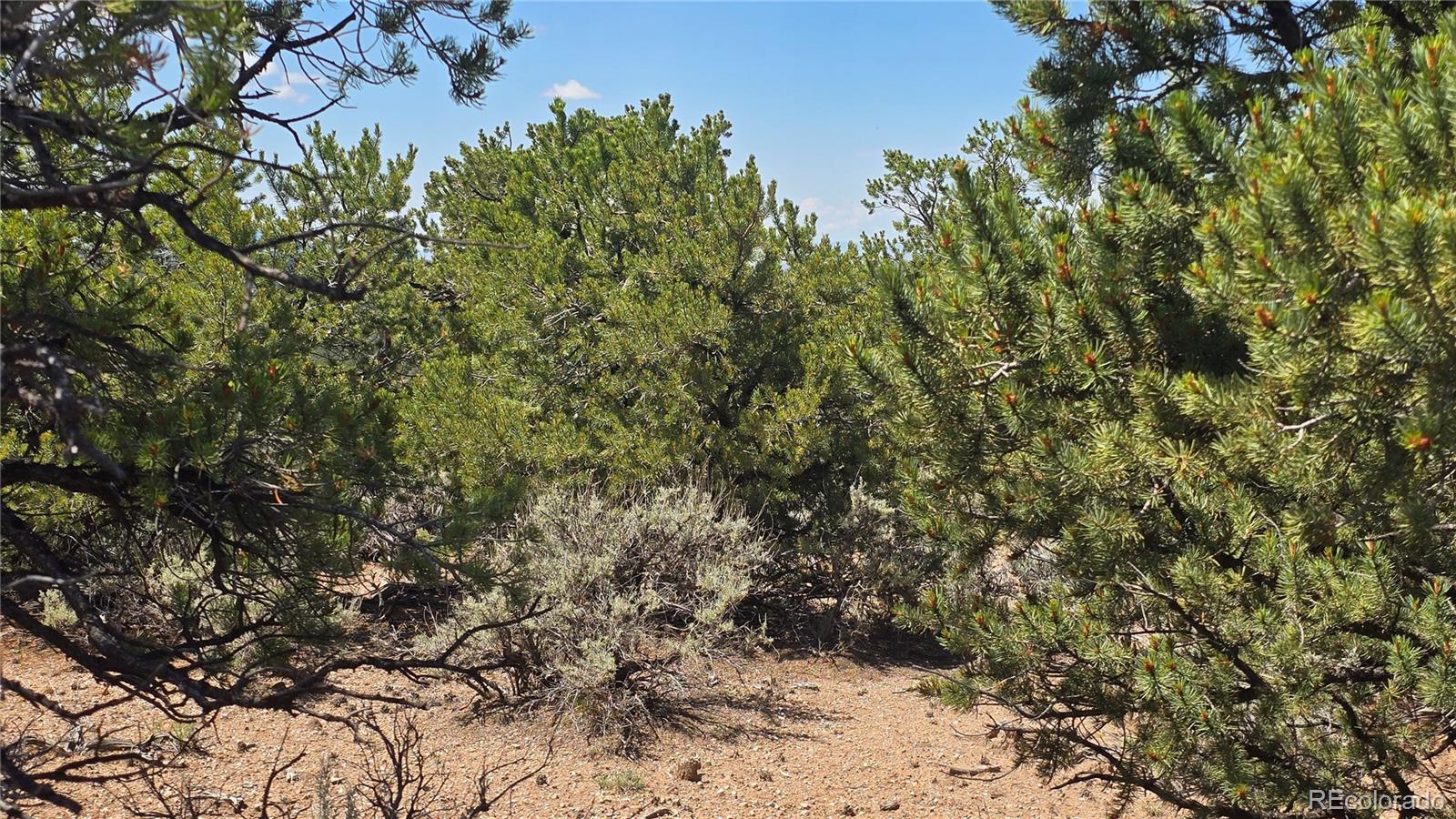 Lot 1615 Dunn Road San Luis CO 81152