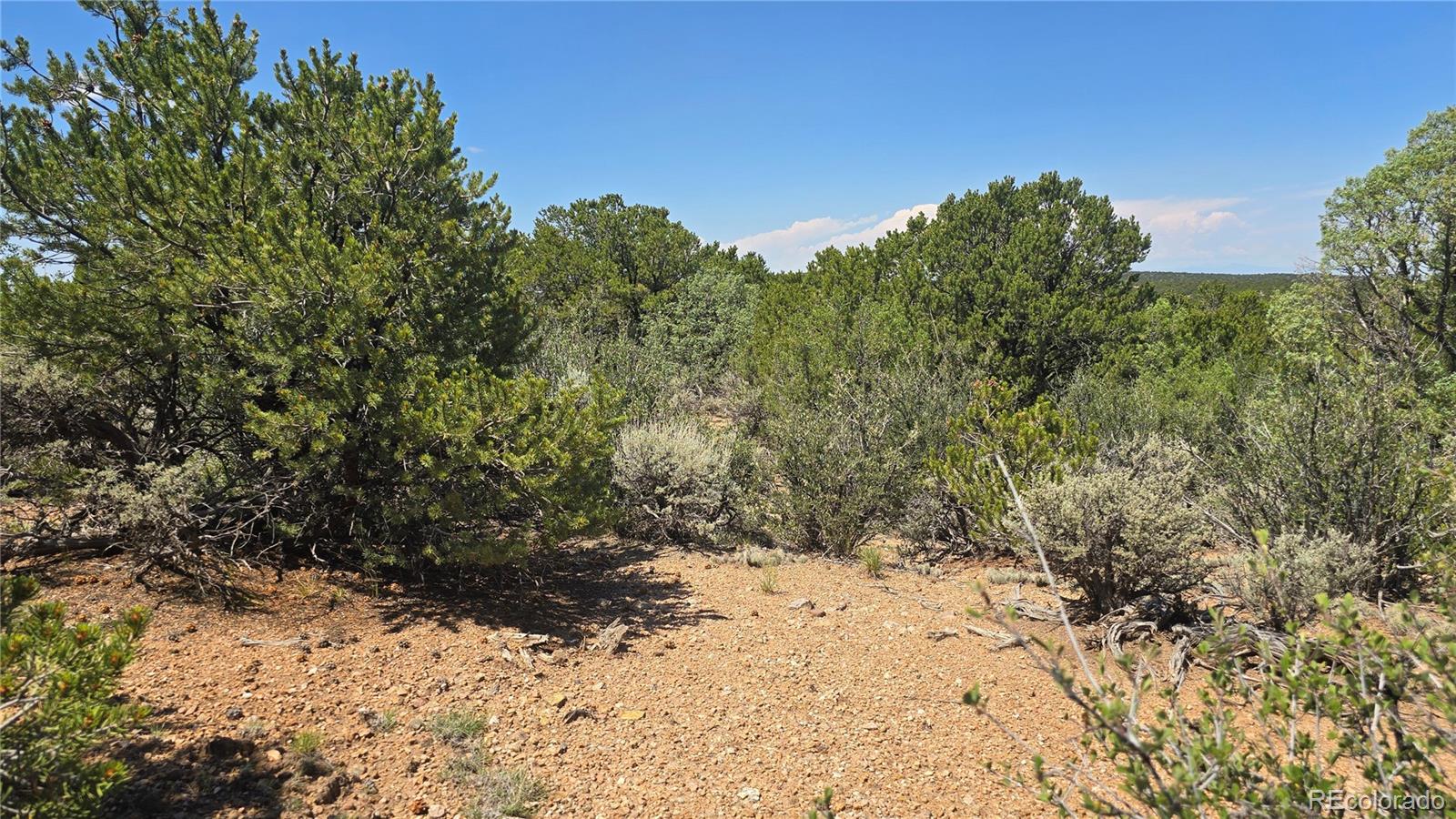 Lot 1615 Dunn Road San Luis CO 81152