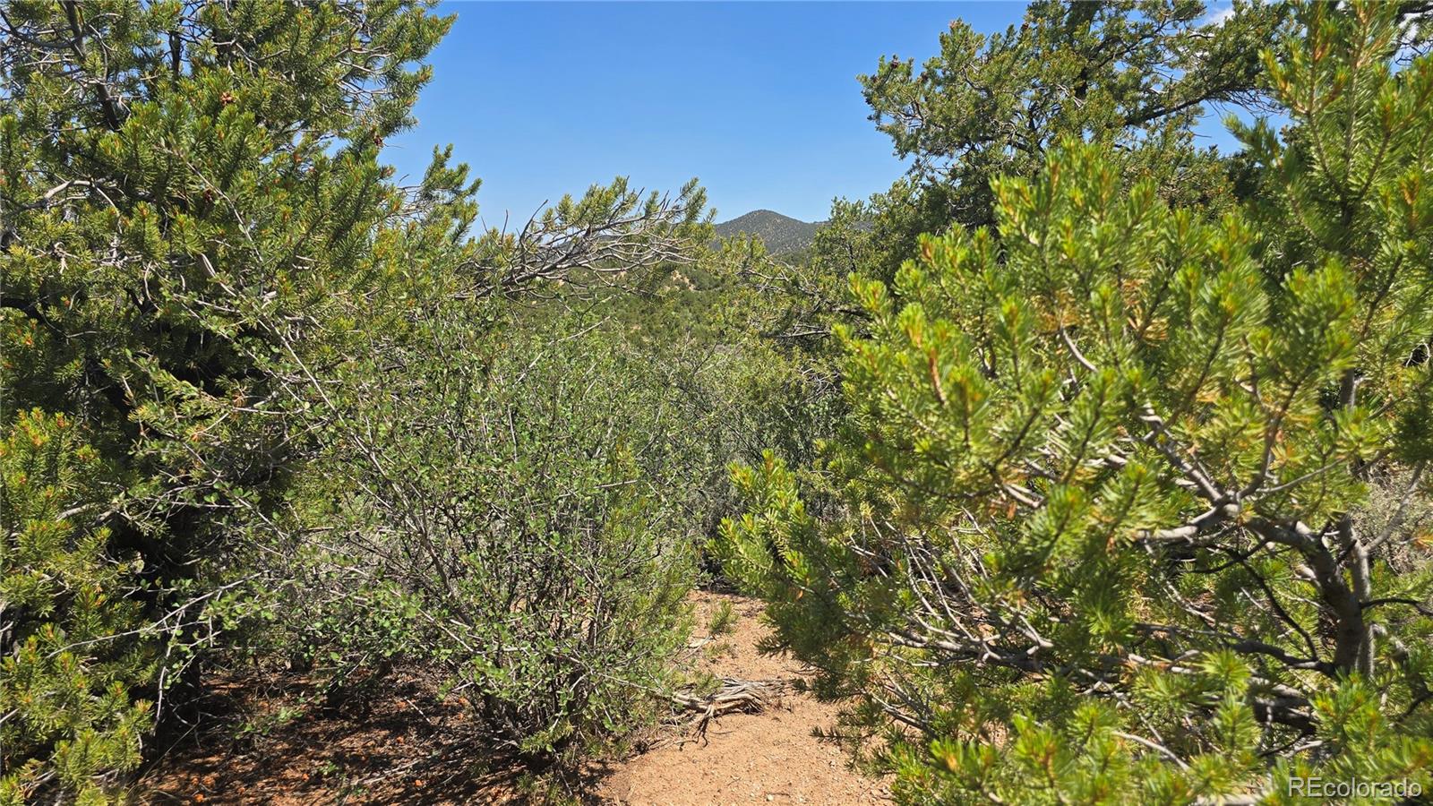 Lot 1615 Dunn Road San Luis CO 81152