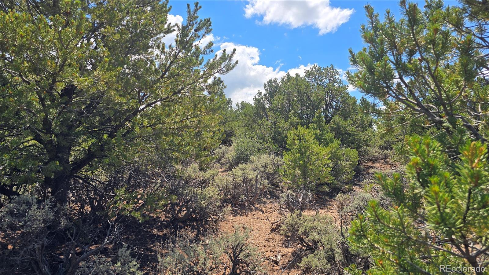 Lot 1615 Dunn Road San Luis CO 81152