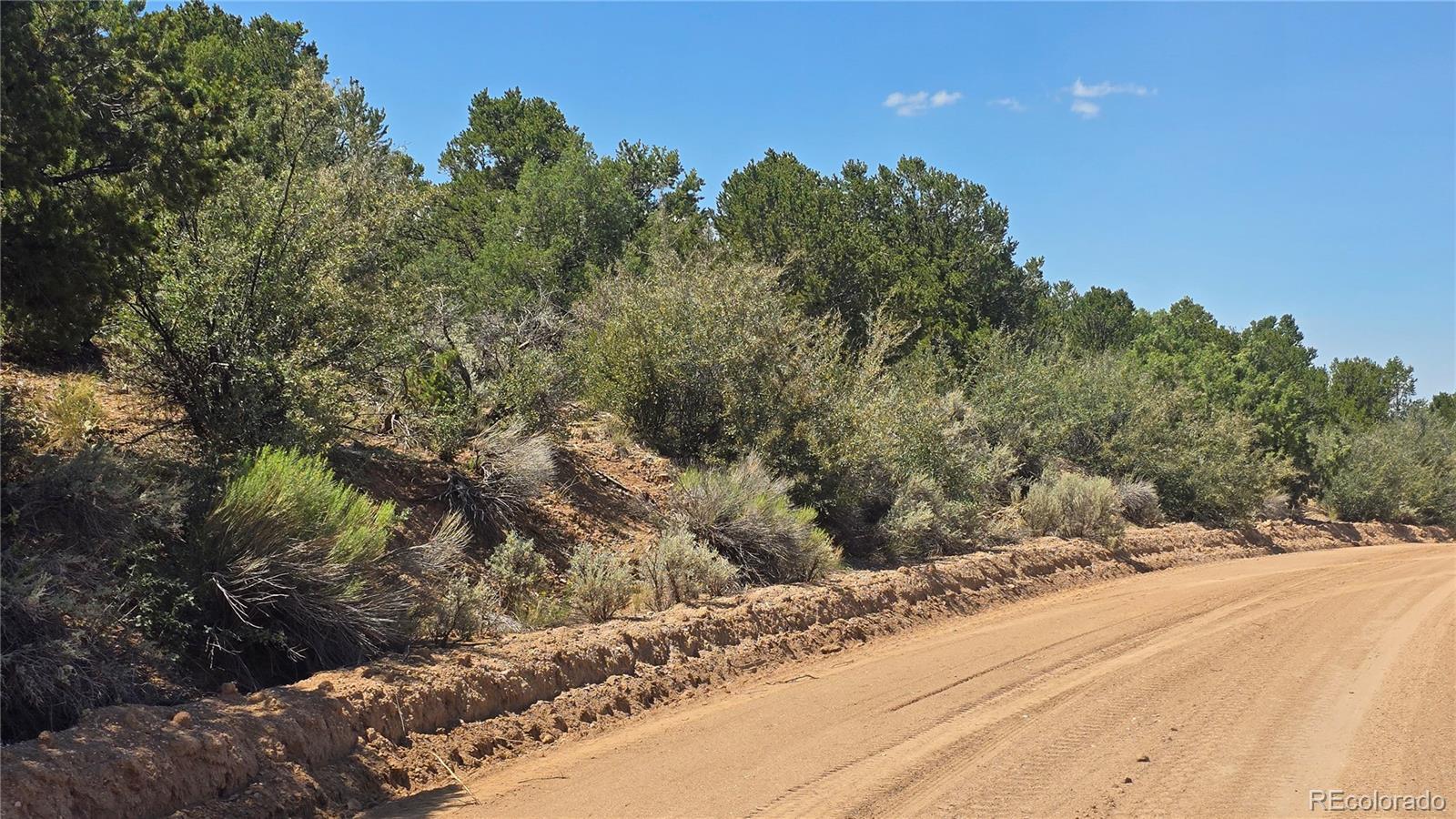Lot 1615 Dunn Road San Luis CO 81152