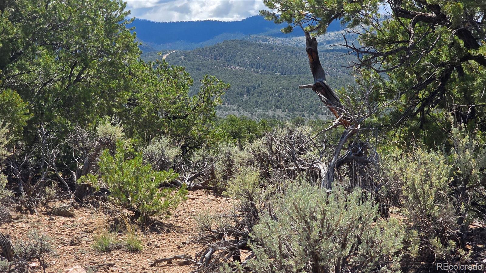 Lot 1615 Dunn Road San Luis CO 81152