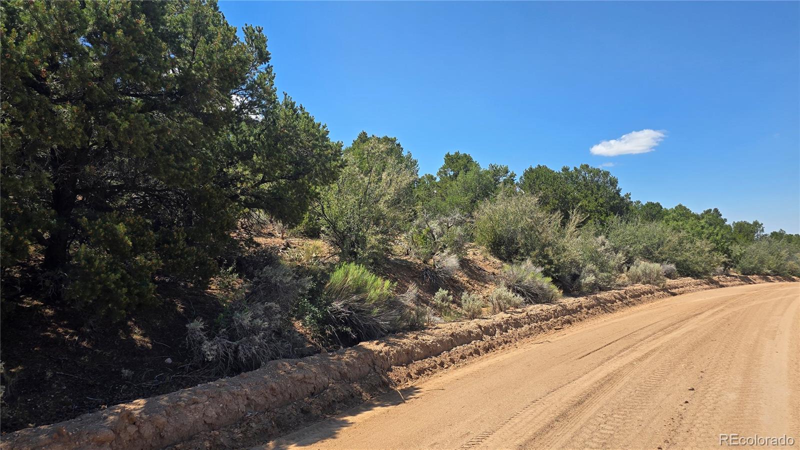 Lot 1615 Dunn Road San Luis CO 81152