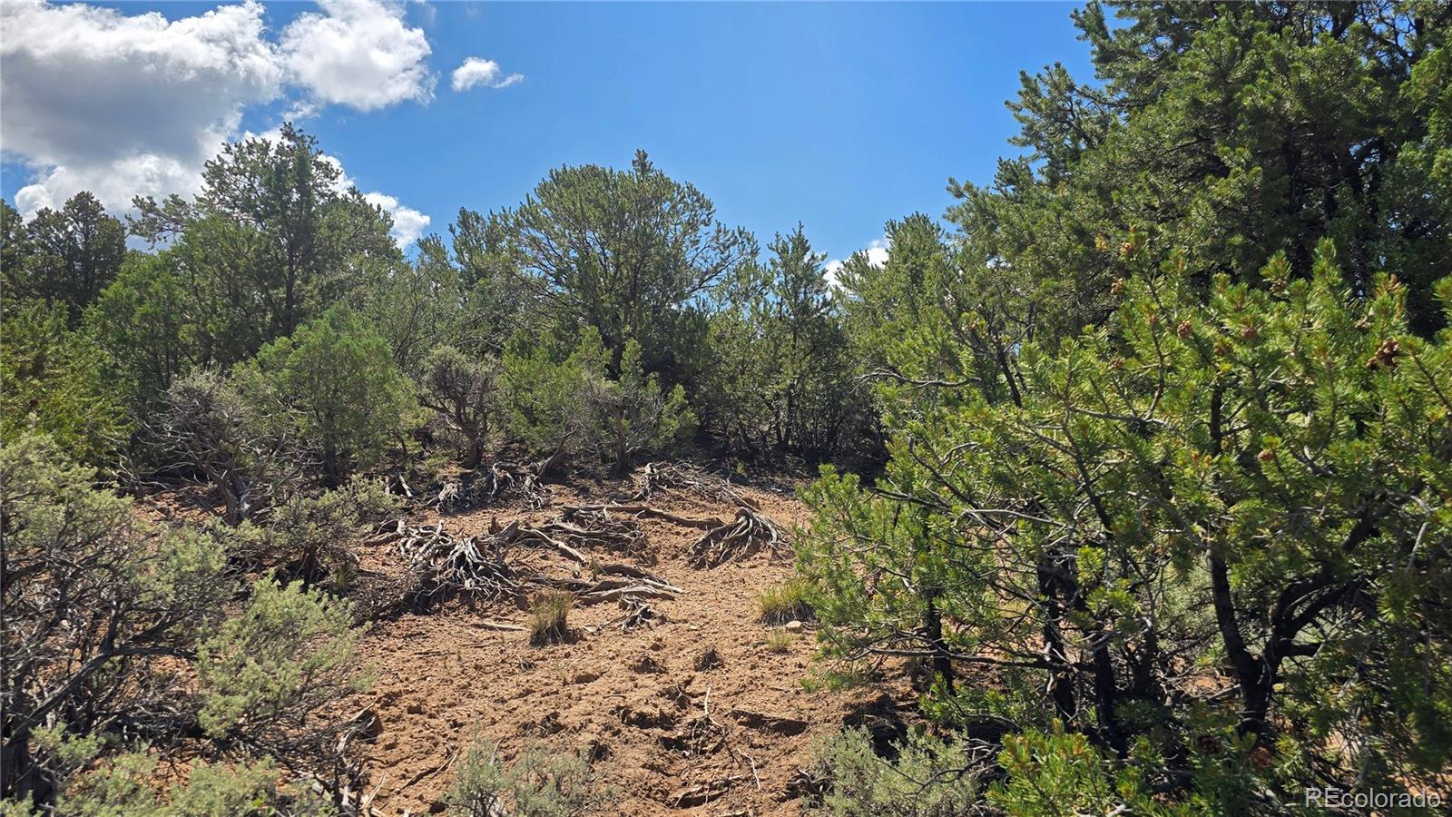 Lot 1615 Dunn Road San Luis CO 81152
